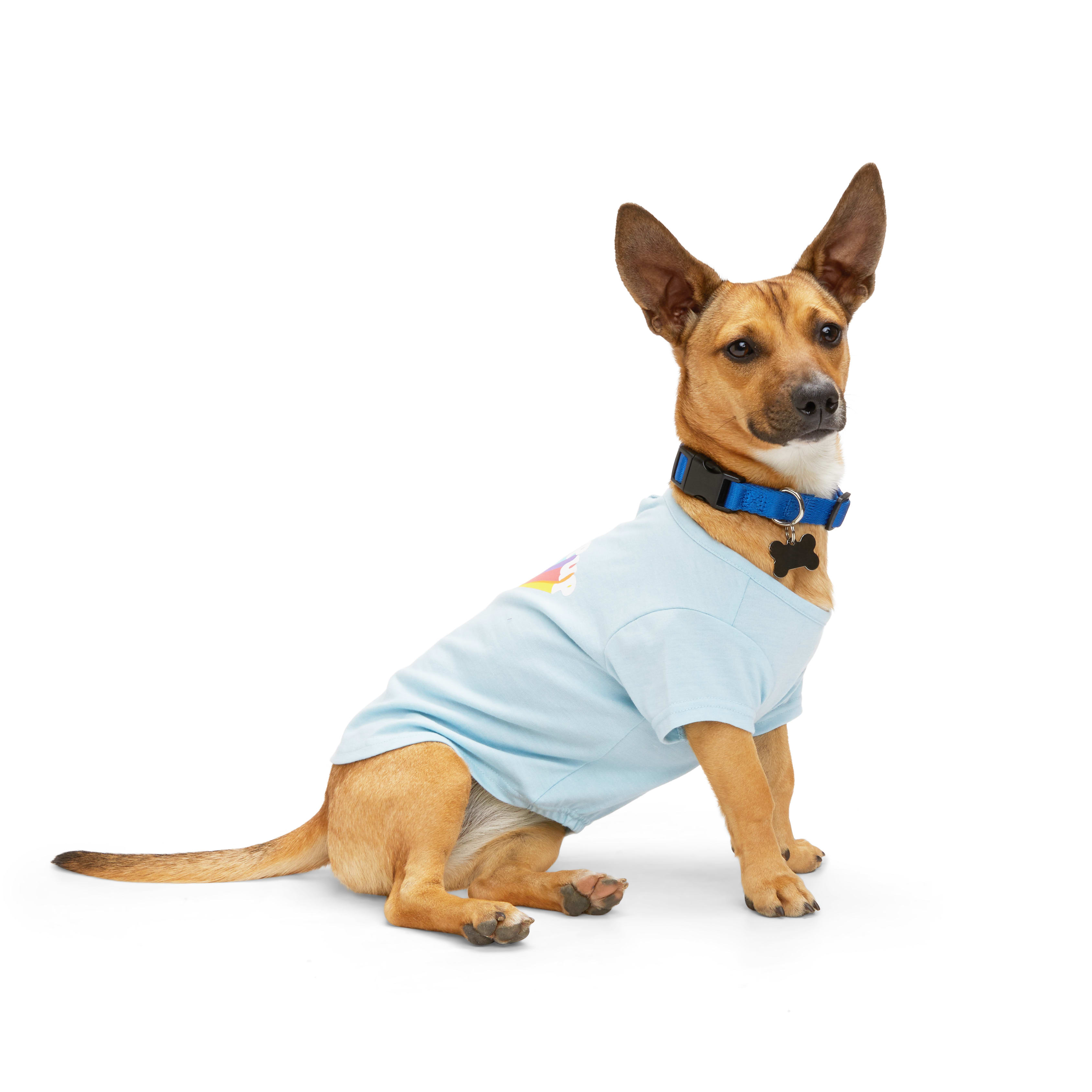 YOULY Pride Proud Pup Dog Tee， X-Small