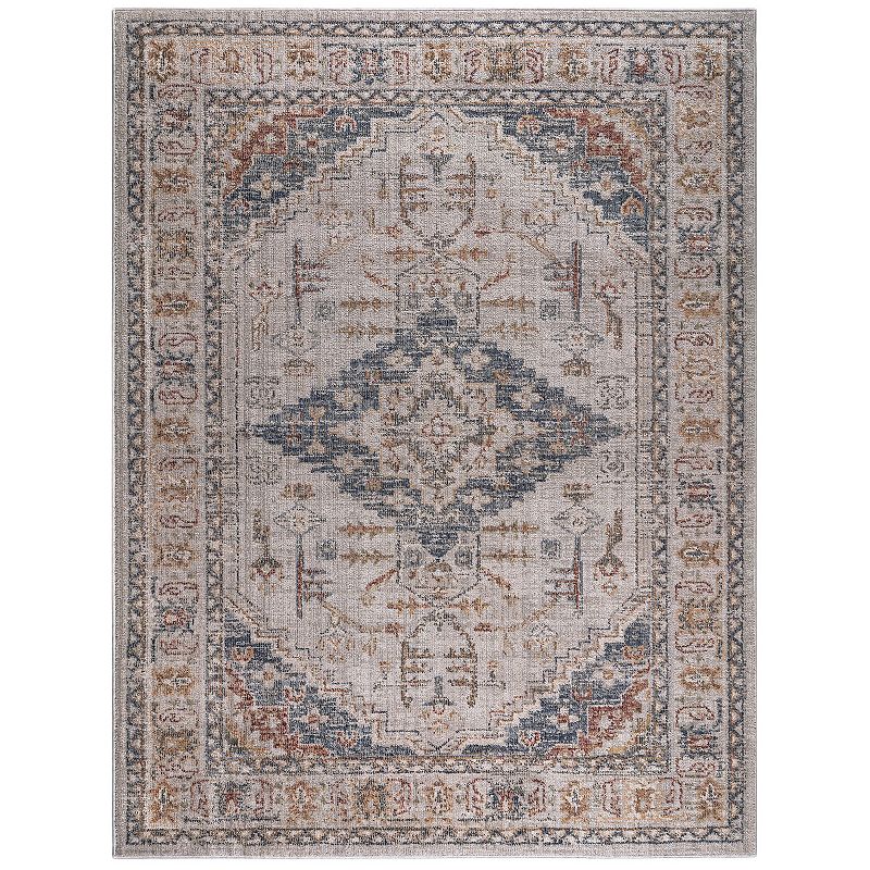 Madison Park Audrey Vintage Medallion Woven Area Rug