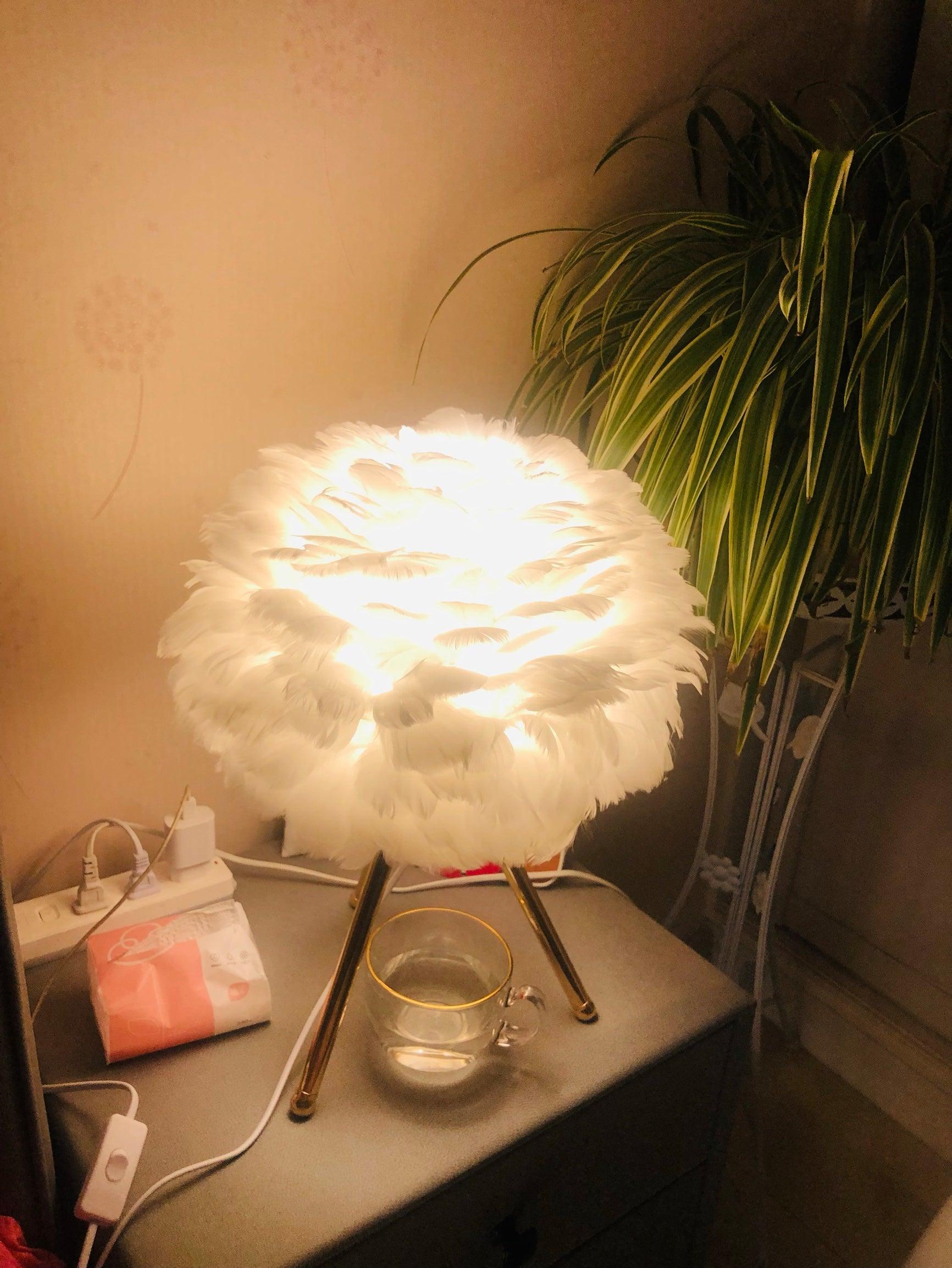 Goose Feather Table Lamp