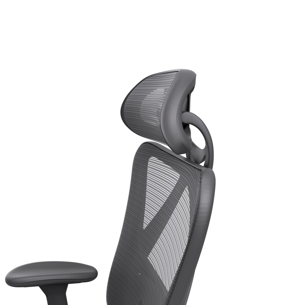 Mcintosh Contemporary Ergonomic Height Adjustable Desk Chair by Furniture of America