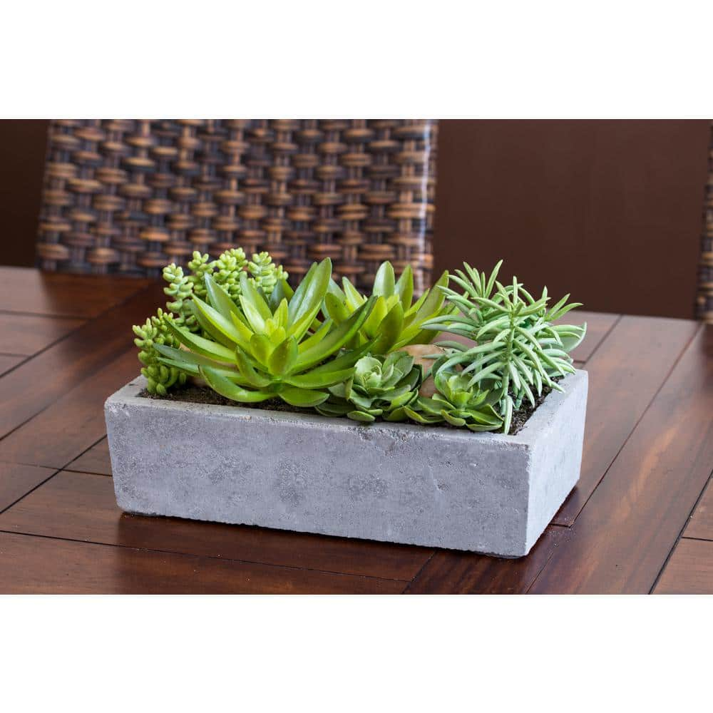 Nearly Natural Artificial Succulent Garden with Concrete Planter 4841