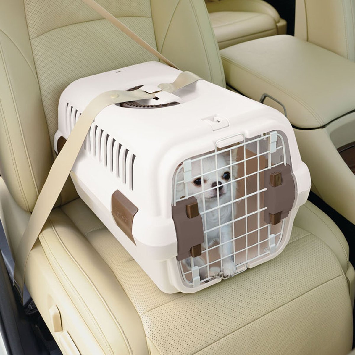 Richell Traveler Dog and Cat Carrier