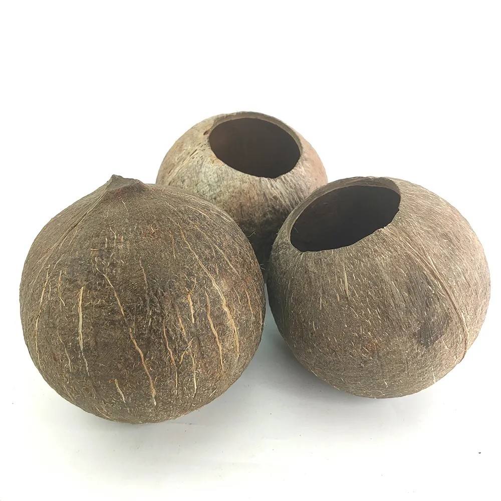 Cheap Price Eco friendly Biodegradable Customized Coconut Bowl Candle Container Natural Garden Supplies Flower Pot