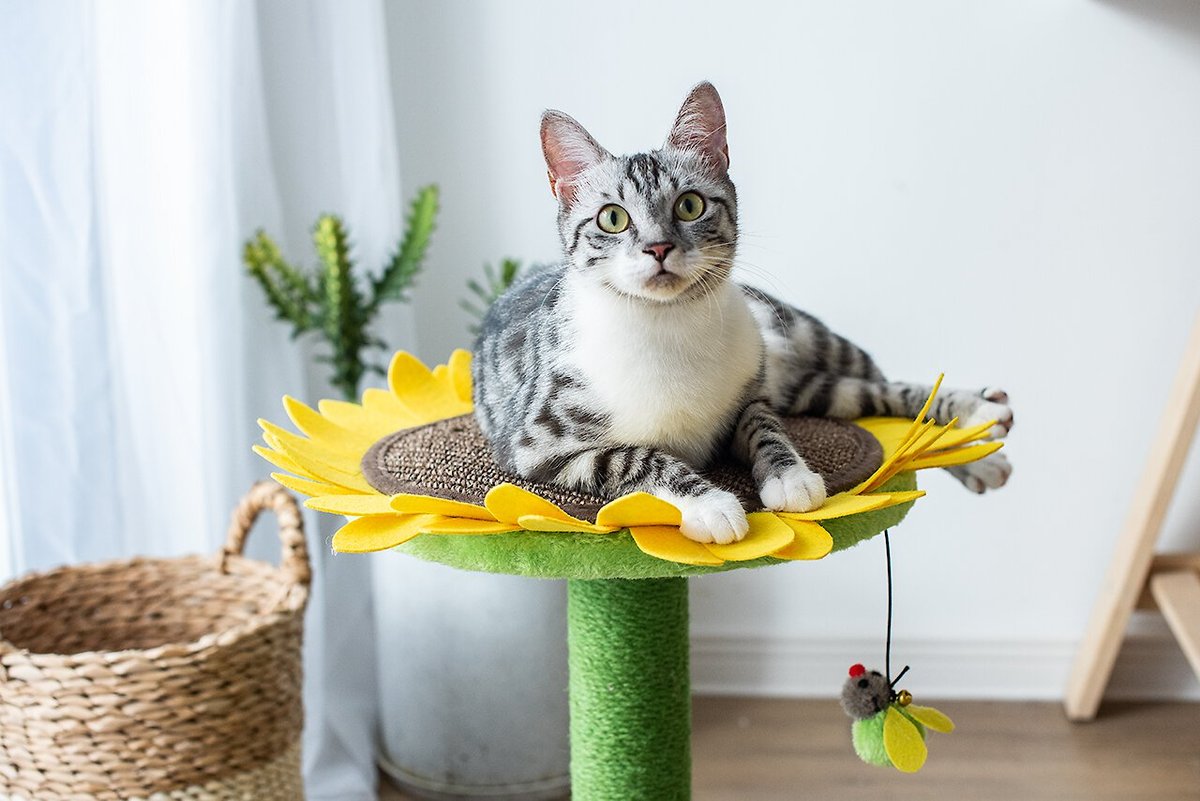 Catry Sunflower 23.2-in Sisal Cat Scratching Post with Toy