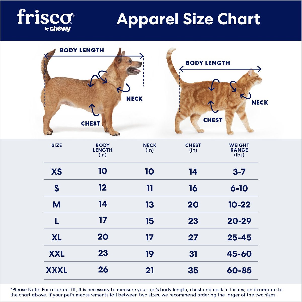 Frisco Boss Babe Dog and Cat Dress