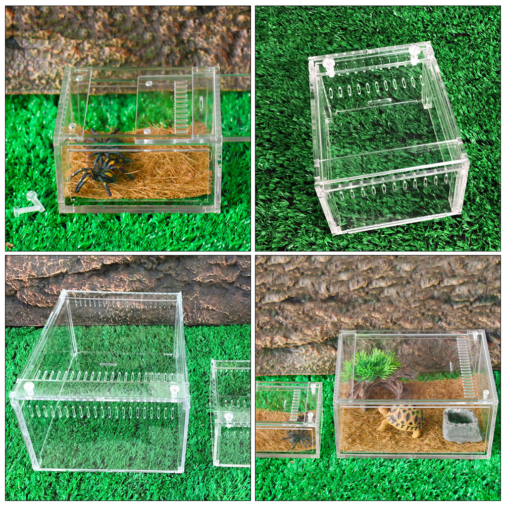 1pc Reptile Breeding Container Reptile Raising Box Feeding Box (Transparent)