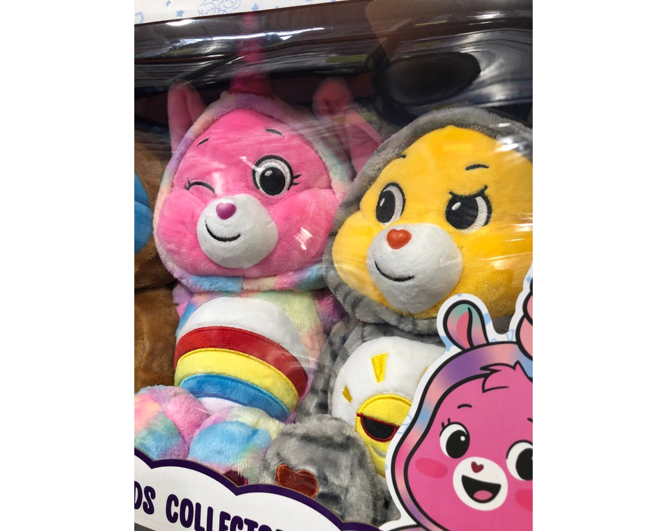 Care Bears Hoodie Friends Collector