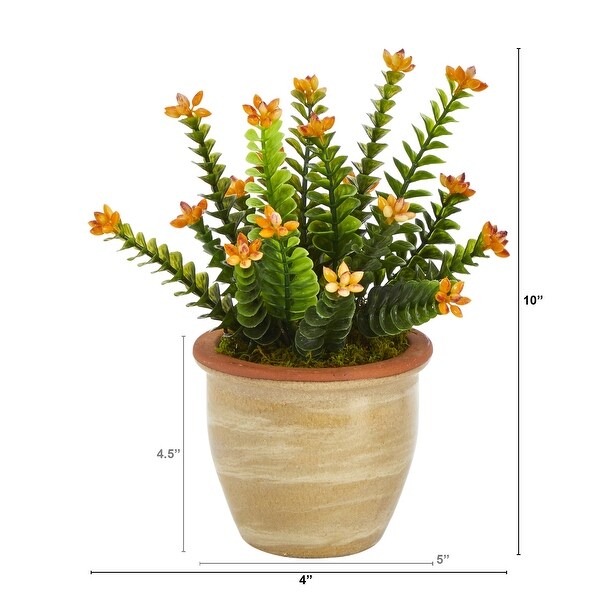 10 Flowering Sedum Succulent Artificial Plant in Ceramic Planter