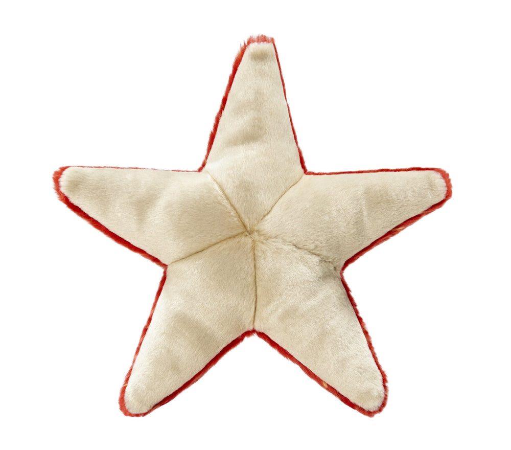 Fluff and Tuff Ziggy Starfish Plush Dog Toy