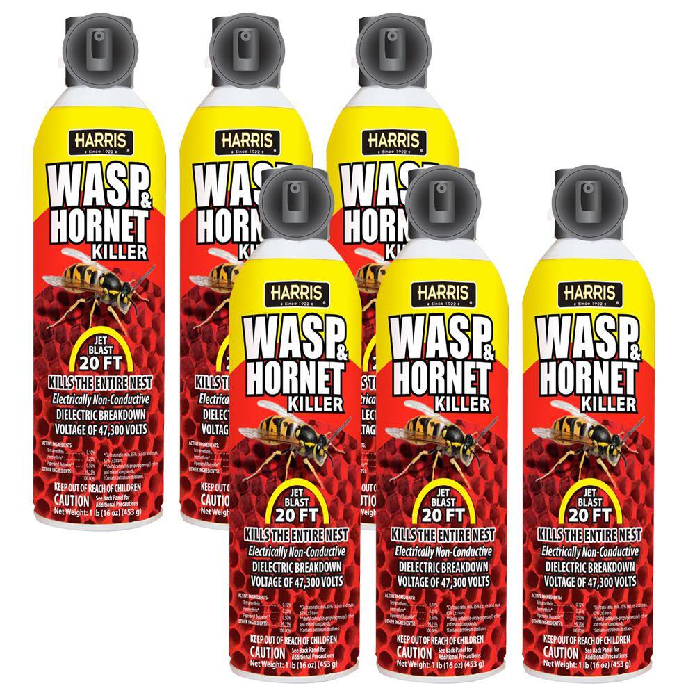 Harris 16 oz. Wasp and Hornet Killer (6-Pack) 6WH-16