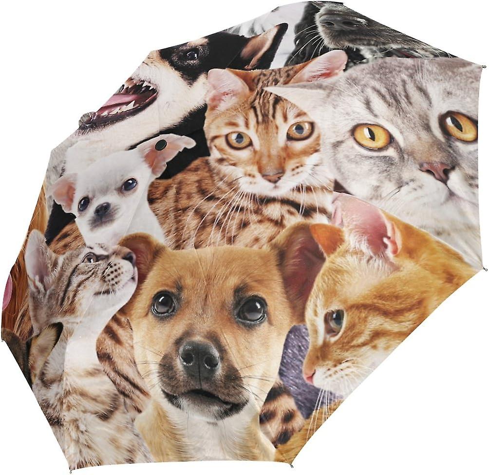 Rain Umbrella Automatic Windproof Foldable Umbrella Dog Cat Herd