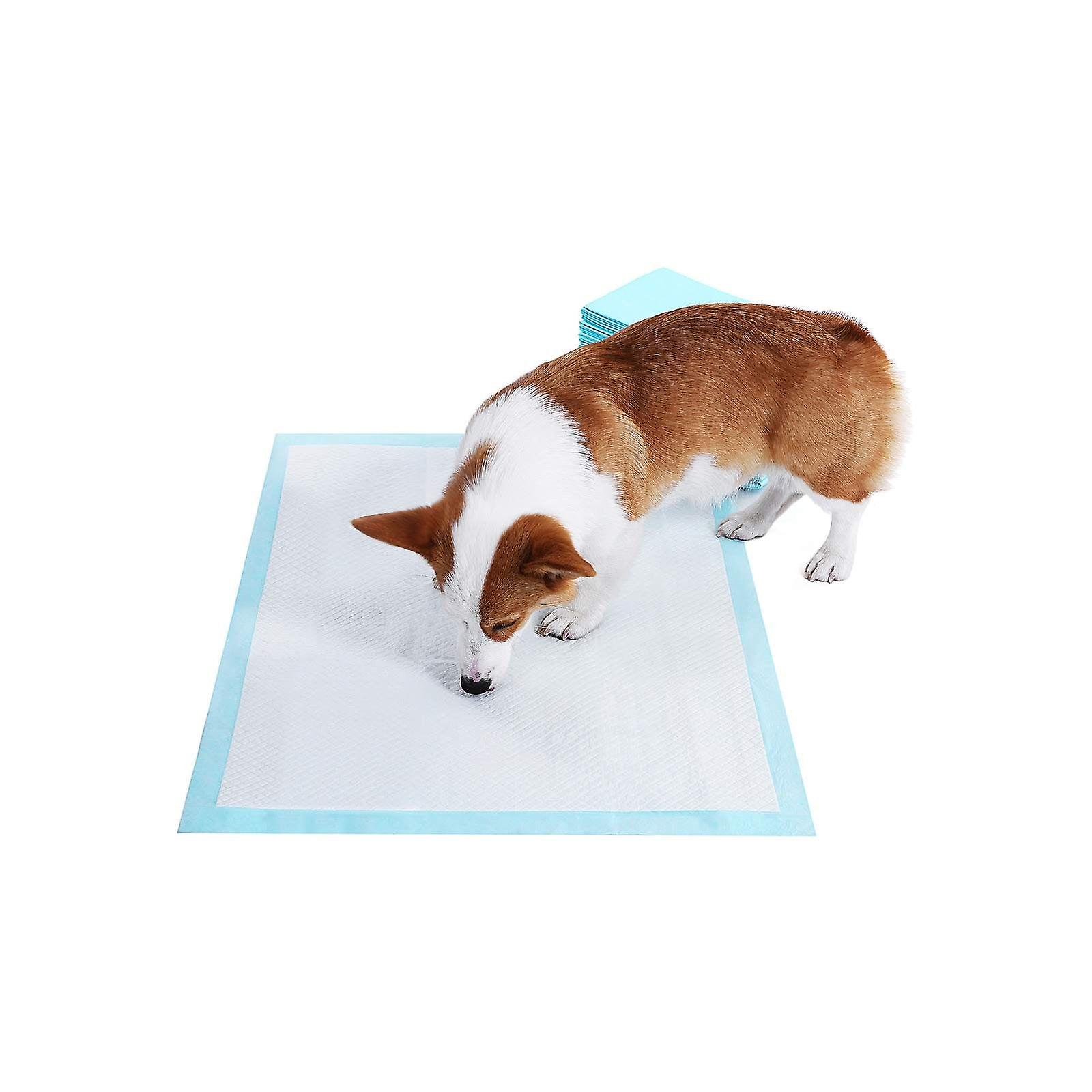 Hygiënepads voor puppy's 60 x 90 cm 100 st