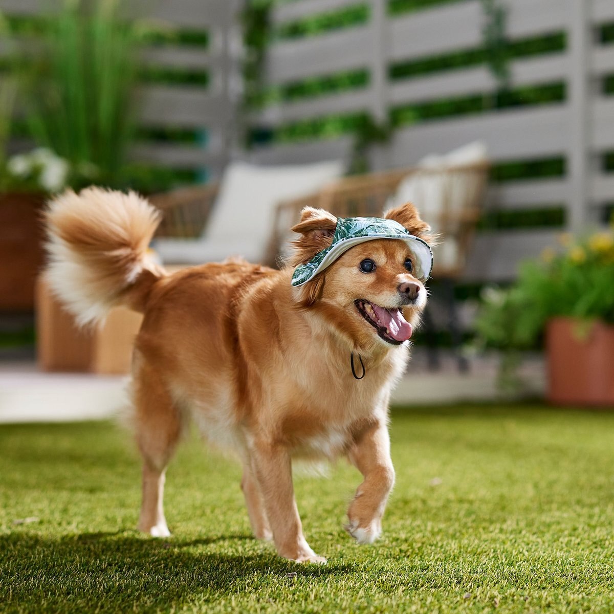 Frisco Palm Leaf Short Brimmed Bucket Dog and Cat Hat