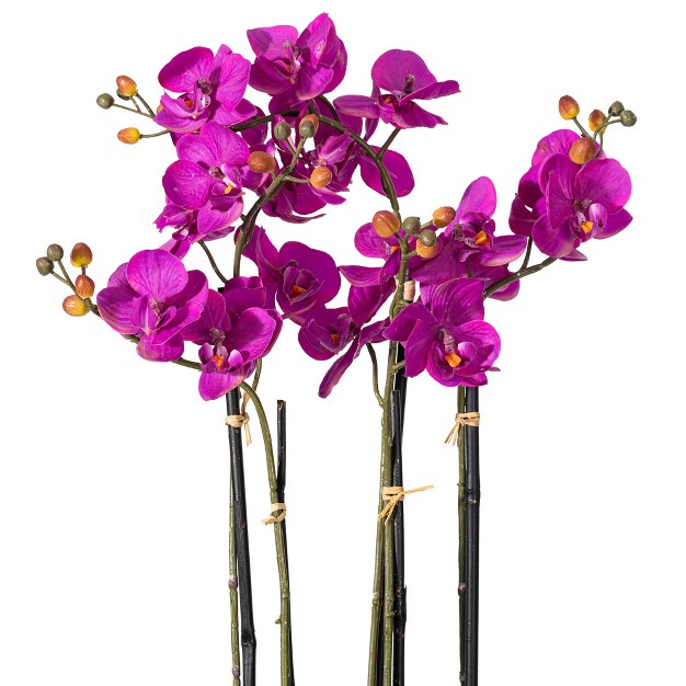 Vickerman Artificial Orchid Arrangement