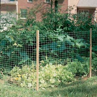 GARDENEER By Dalen 3 ft. x 50 ft. Plastic Fencing PF-3