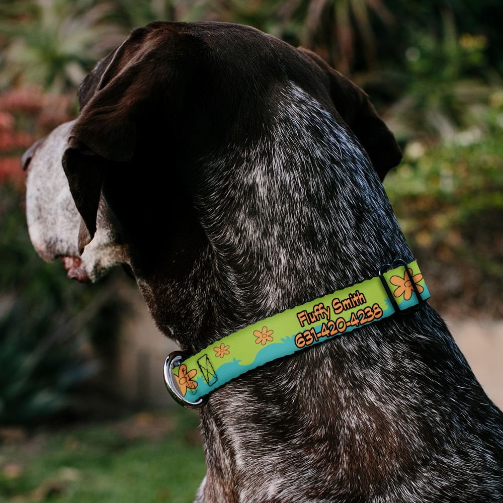 Buckle-Down Scooby Doo The Mystery Machine Paint Job Personalized Dog Collar