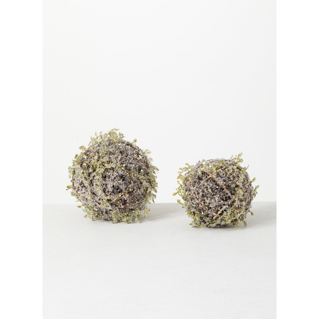 Sullivans Twig Artificial Orb Decorative Filler Set Of 2， 6.5