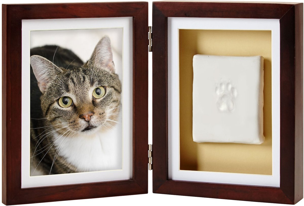 Pearhead Pawprints Dog and Cat Desk Frame， 4 x 6 in