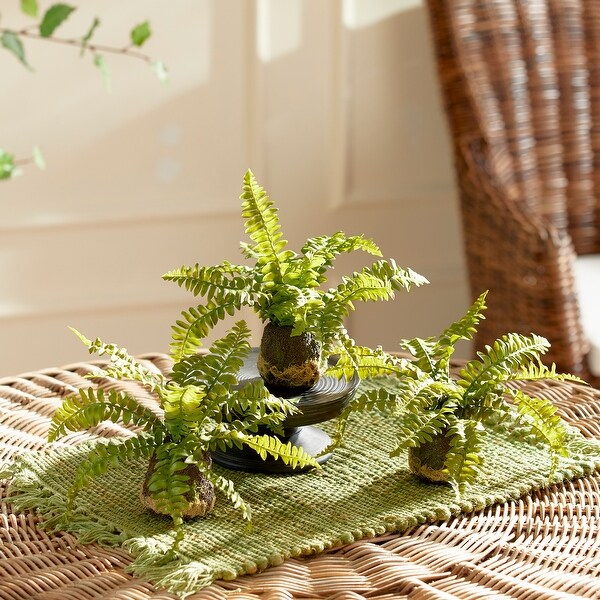 Boston Fern DropIns，Set Of 3