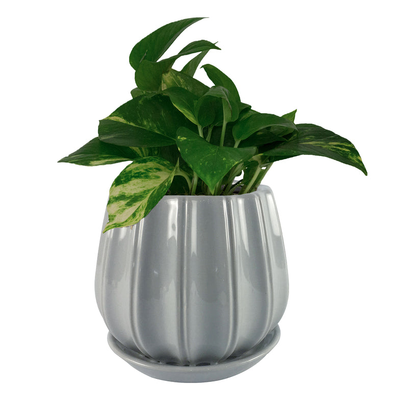 PLANTER CONTOUR GRAY 8