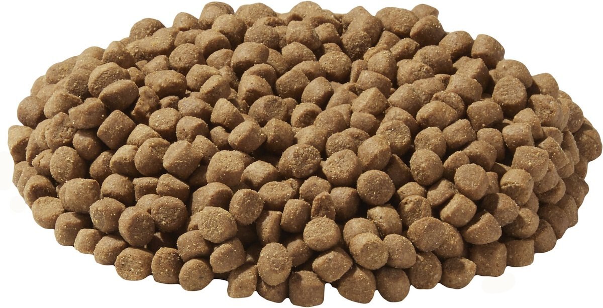 Wysong Fundamentals Dry Dog and Cat Food