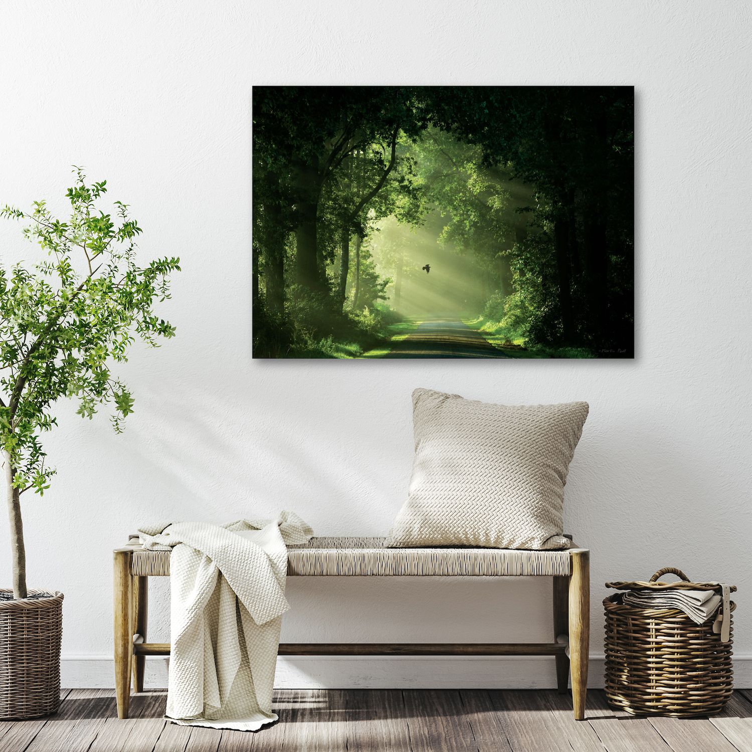 COURTSIDE MARKET Emerald Forest Canvas Wall Art