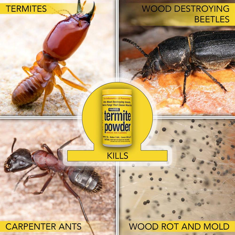 Harris 16 oz. Termite Powder (Pack of 5) TERM16-5PK