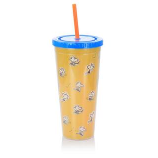 Gibson Peanuts 70th Anniversary 23.6 fl. oz. Assorted Colors Plastic Tumbler Set with Lids and Straws 985115915M