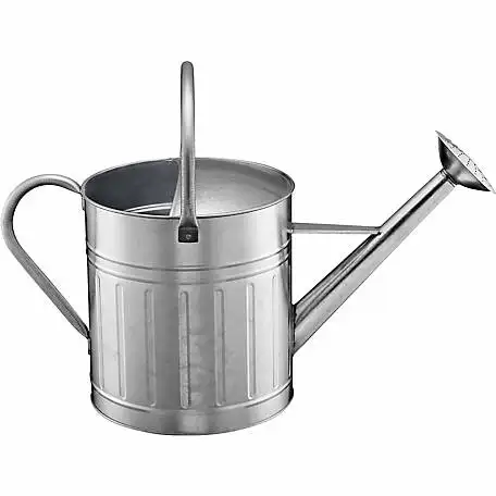 Garden Watering Can Galvanized Simple Metal Water Can