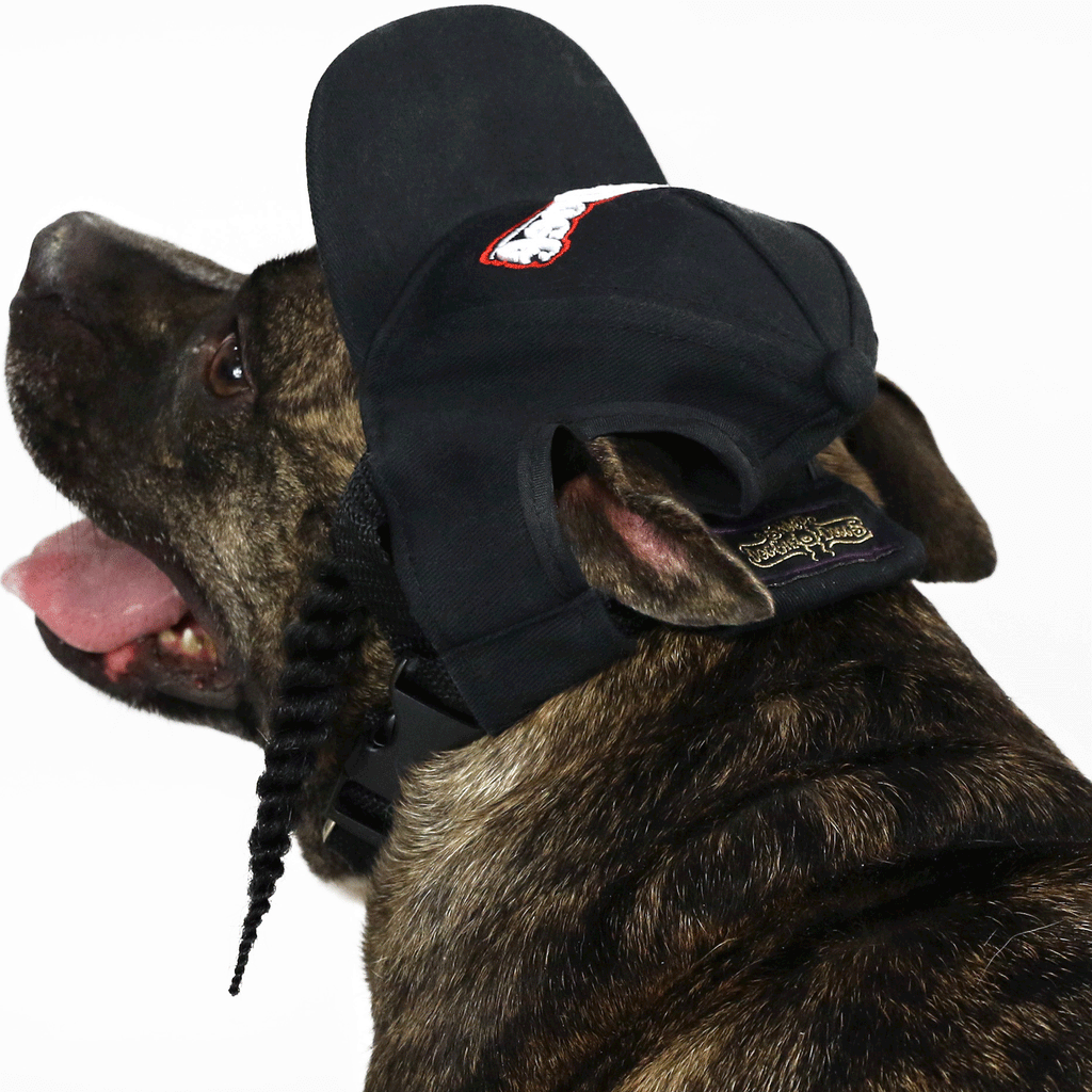 Snoop Doggie Doggs Baseball Hat for Dogs and Cats