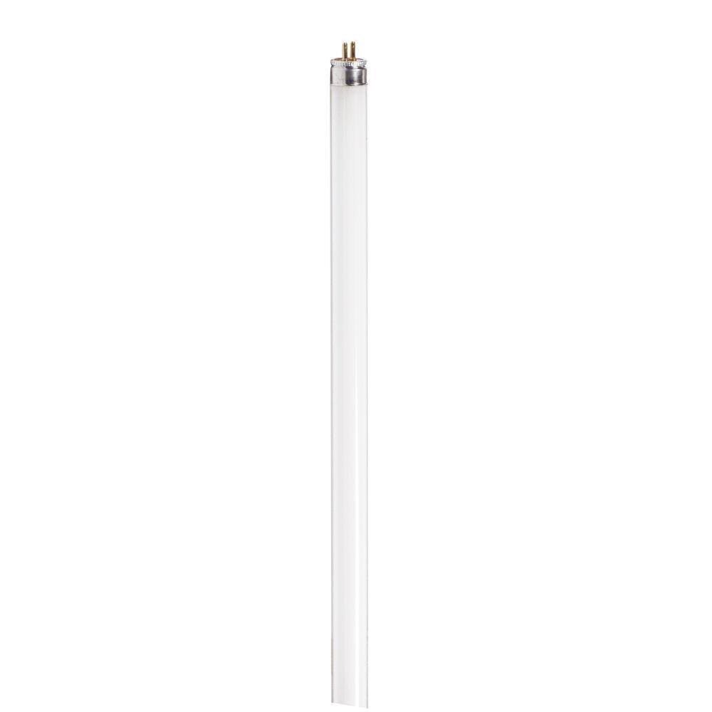 Philips 8-Watt 12 in. Linear T5 Fluorescent Tube Light Bulb Cool White (4100K) (1-Pack) 546473