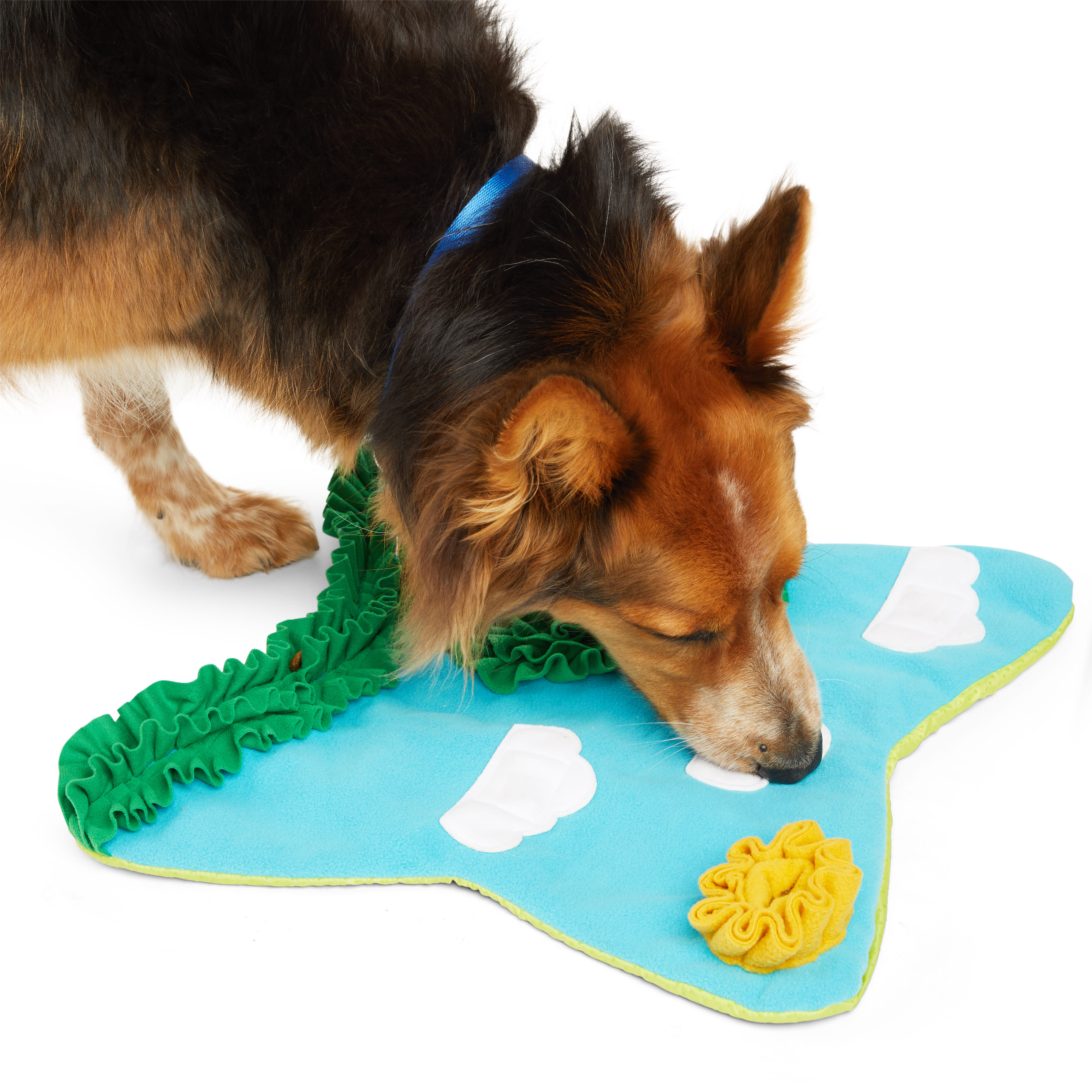 Leaps  Bounds Snuffle Mat Dog Toy， Large