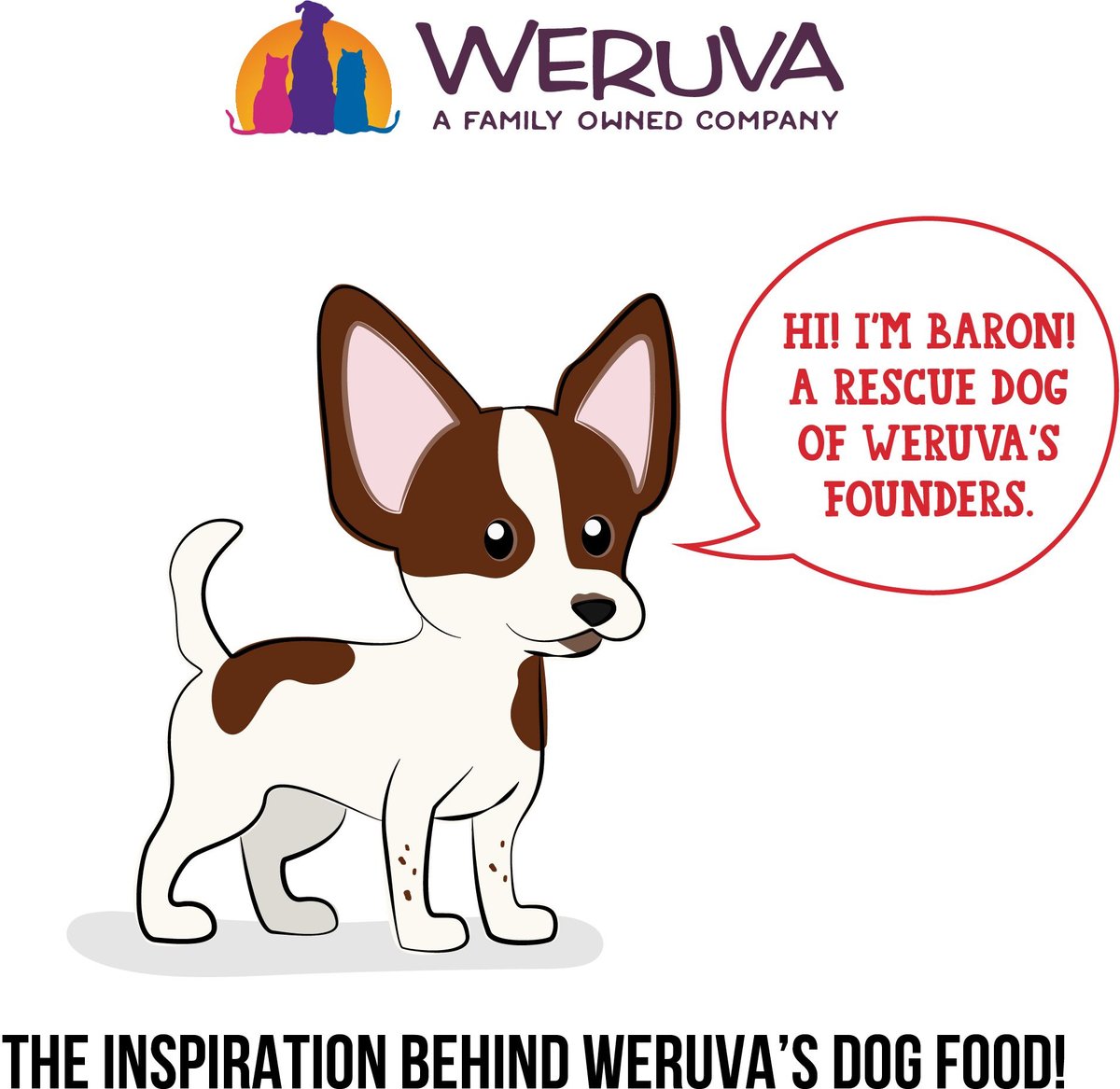 Weruva Dogs in the Kitchen The Double Dip with Beef and Wild Caught Salmon Au Jus Grain-Free Canned Dog Food