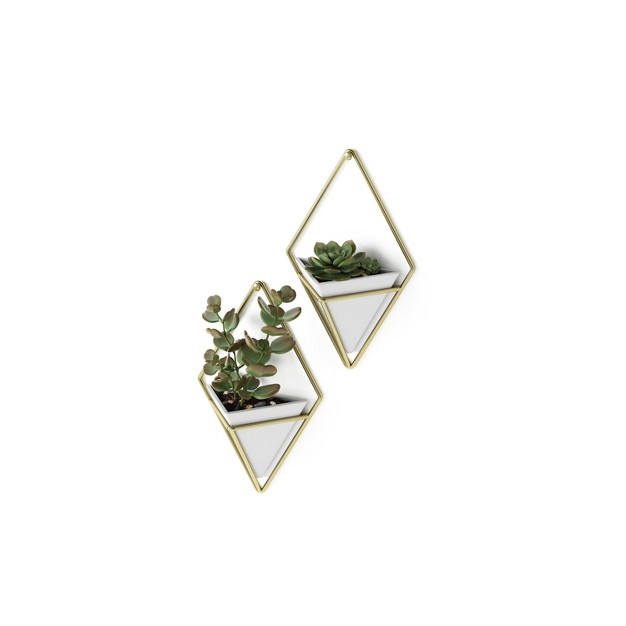 Set Of 2 Trigg Wall Display Planters White brass Umbra