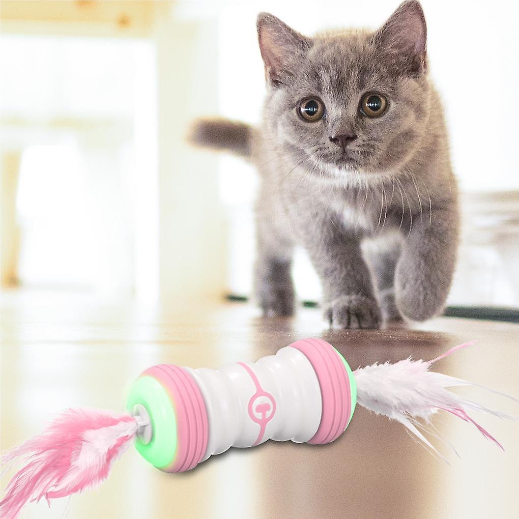 Robotic 2 speed interactive cat toy