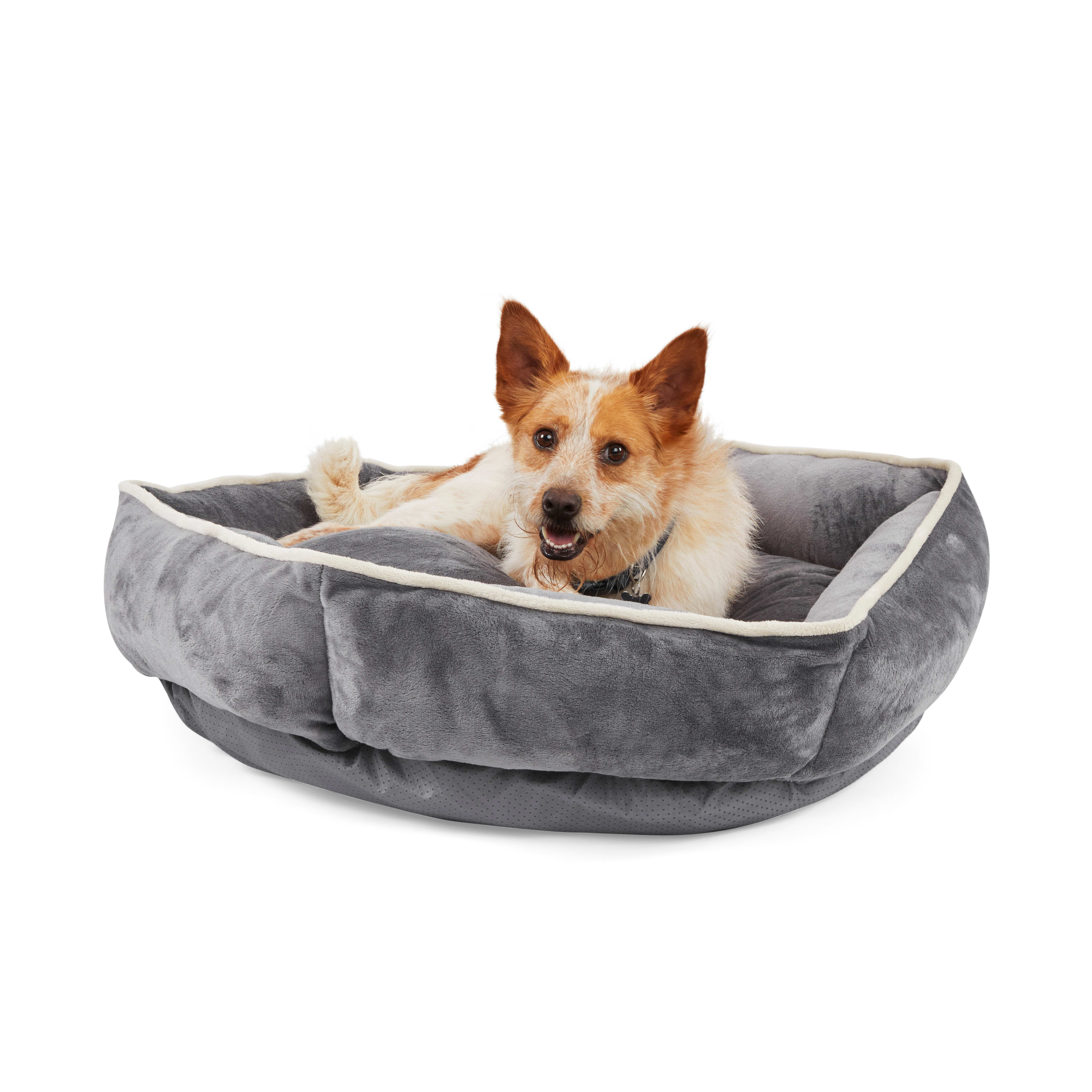 EveryYay Essentials Snooze Fest Grey Round Snuggler Dog Bed， 36