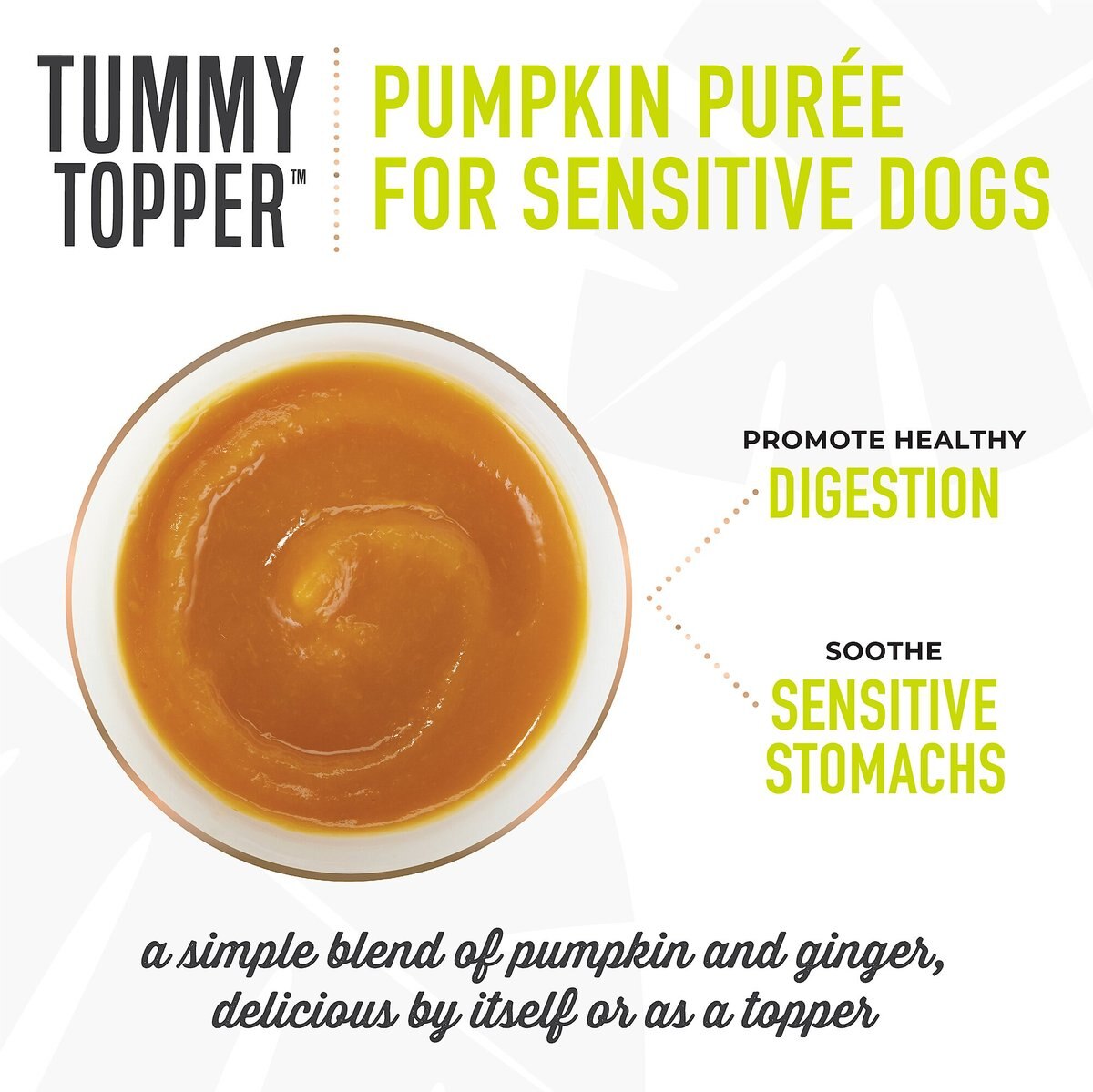 Tiki Dog Tummy Topper Pumpkin and Ginger Puree Grain-Free Wet Dog Food Topper， 1.5-oz， case of 12