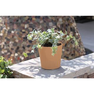 PRIVATE BRAND UNBRANDED Natural 7.5 in. Clay Cabo Flair Pot LHDPOTCLCBFL7X6