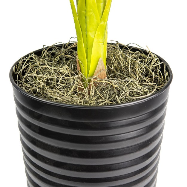 Artificial Ribbed Metal Palm Planter In Black And White - Lcg Florals