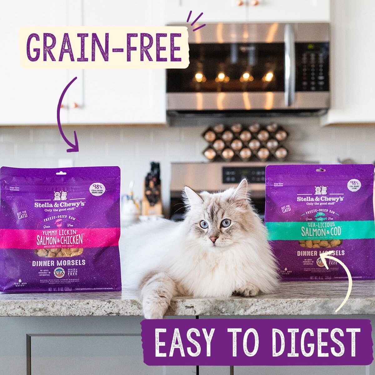 Stella and Chewy's Freeze-Dried Raw Dinner Morsels Grain Free Protein Rich Bountiful Beef Recipe Cat Food