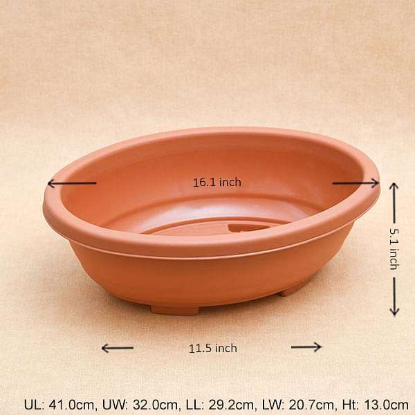 16.1 inch (41 cm) Bonsai Oval Plastic Pot (Terracotta Color) (set of 3)