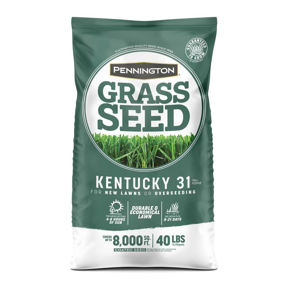 Pennington Kentucky 31 40 lbs. Tall Fescue Penkoted Grass Seed 100537715