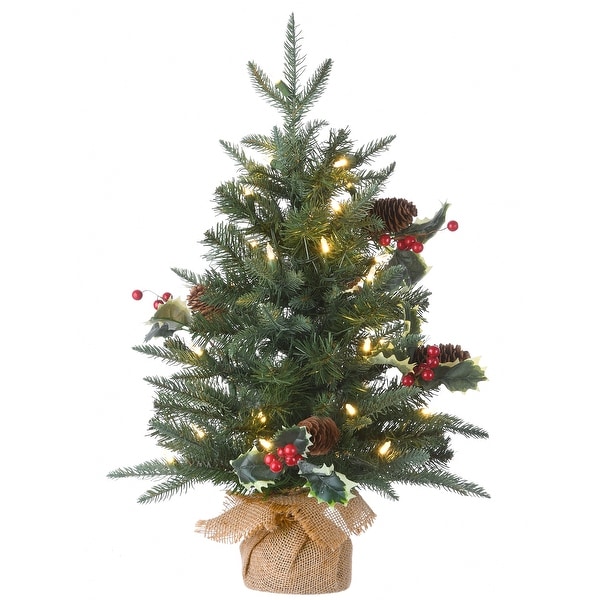 National Tree Company 2 ft. Happy Hill Pine Tree with LED Lights