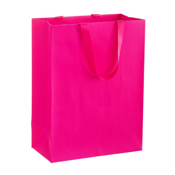 Large Gift Bag