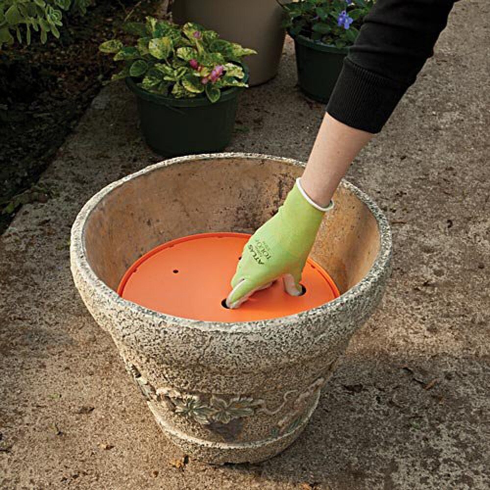 Bloem Ups A Daisy Round Planter Insert: 12\