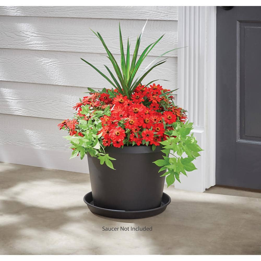 Vigoro 16 in. Antonella Large Black Plastic Planter (16 in. D x 12.8 in. H) with Drainage Hole PCP16005G18