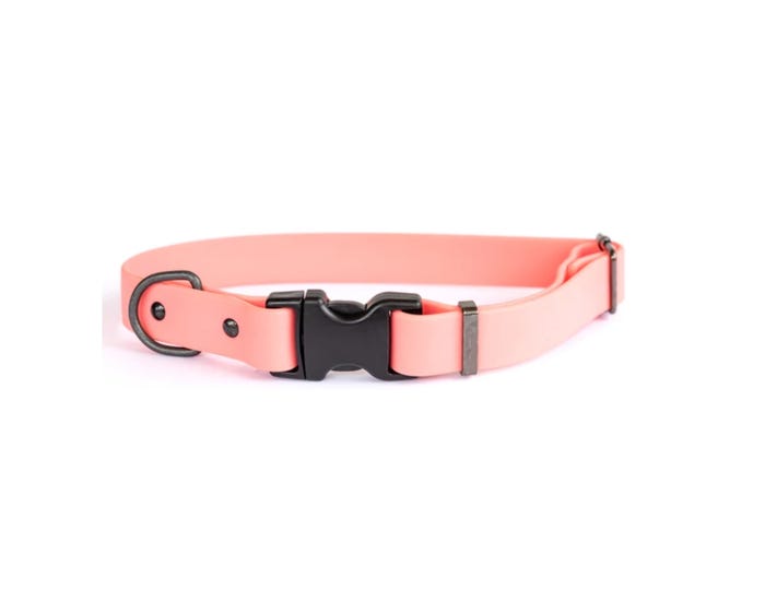 Euro Dog Waterproof Dog Collar Soft PVC Coated Nylon， Pink， Medium - WPMC