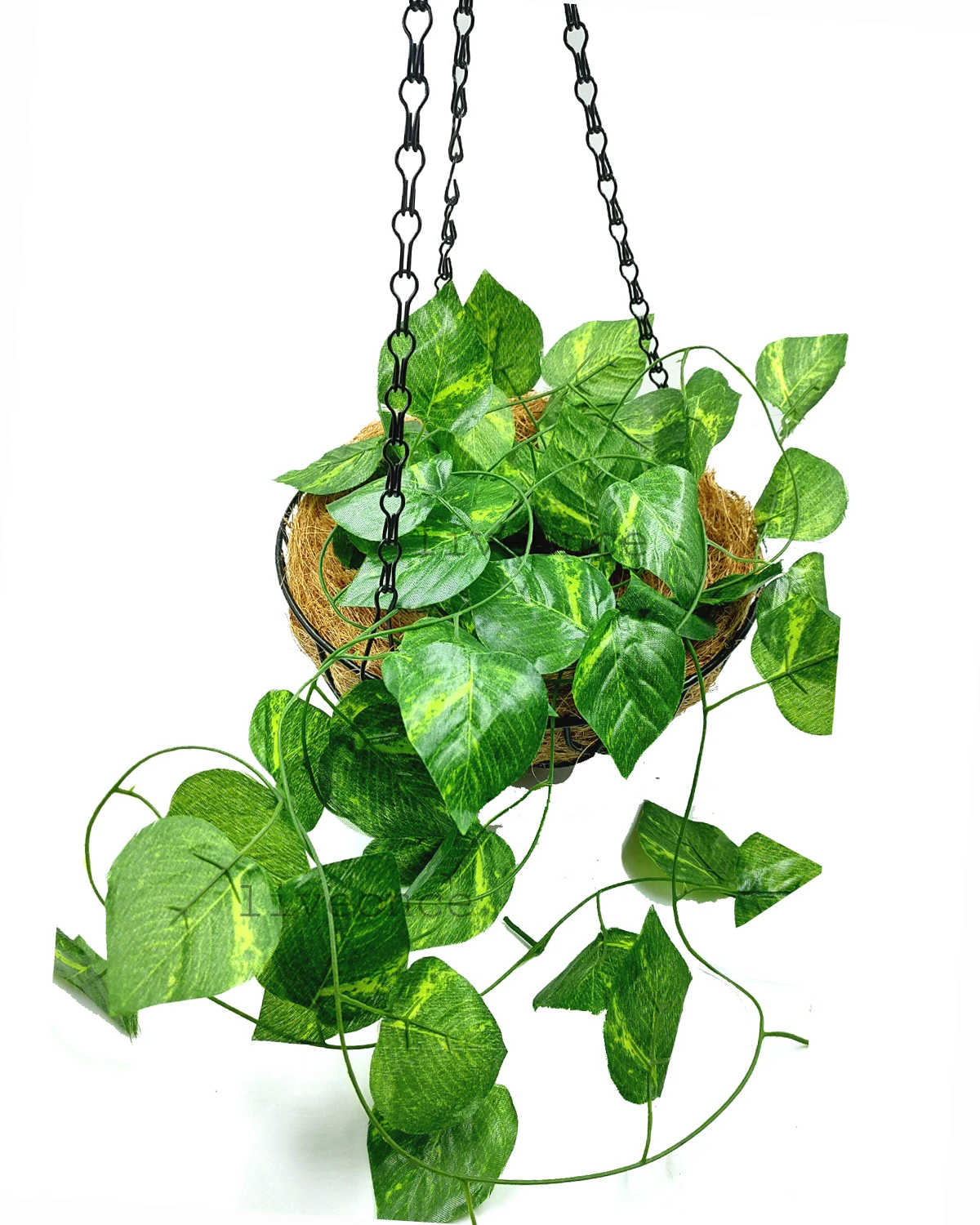 Bulk Selling Garden Supplies Artificial Money Plant with Coir Basket Decorative Accessories from Indian Exporter