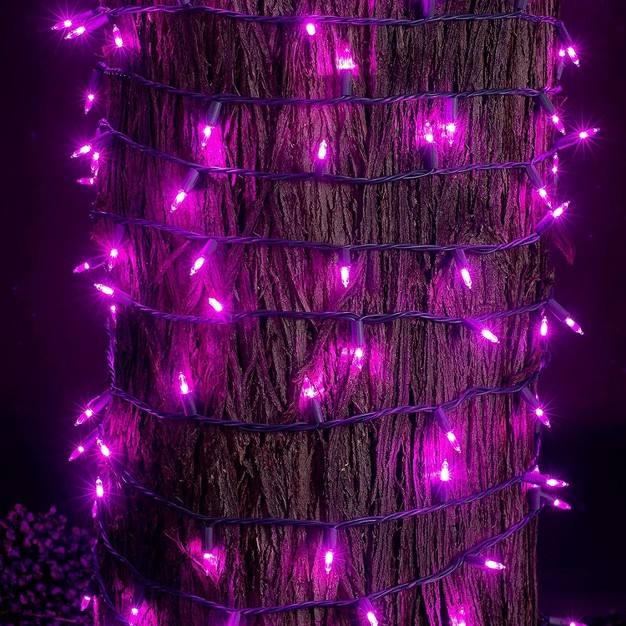 100 Purple Led Green Wire String Lights 8 Modes t5