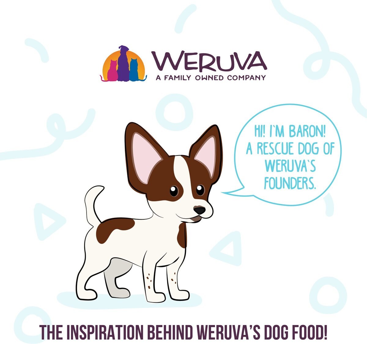 Weruva Classic Dog Meals 'n More Woof Woof Floof! Variety Pack Wet Dog Food， 3.5-oz cup， case of 10